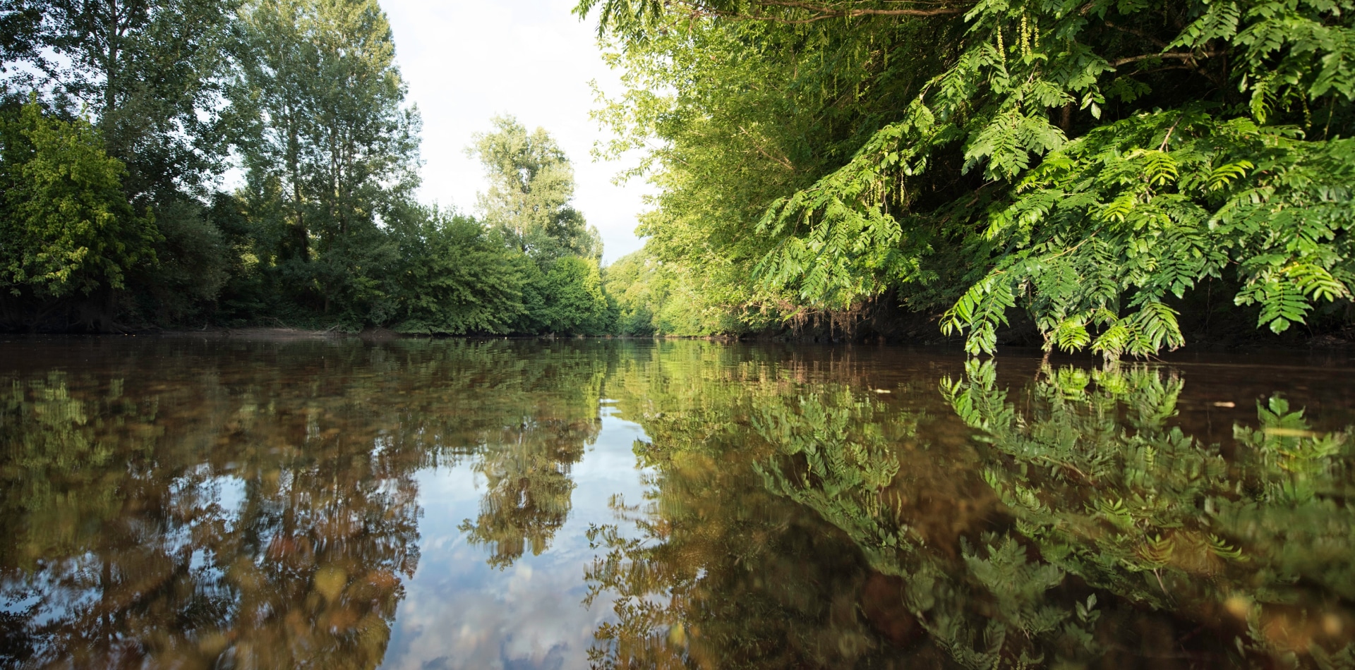 Paysages boisés aux alentours du camping Le Moulin De Surier en Dorodgne