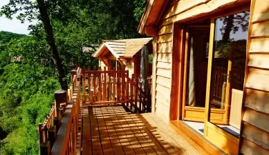 Cabane dans les arbres en dordogne