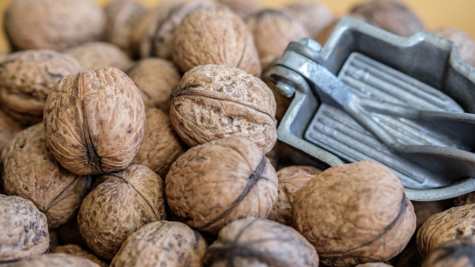 Perigord walnuts