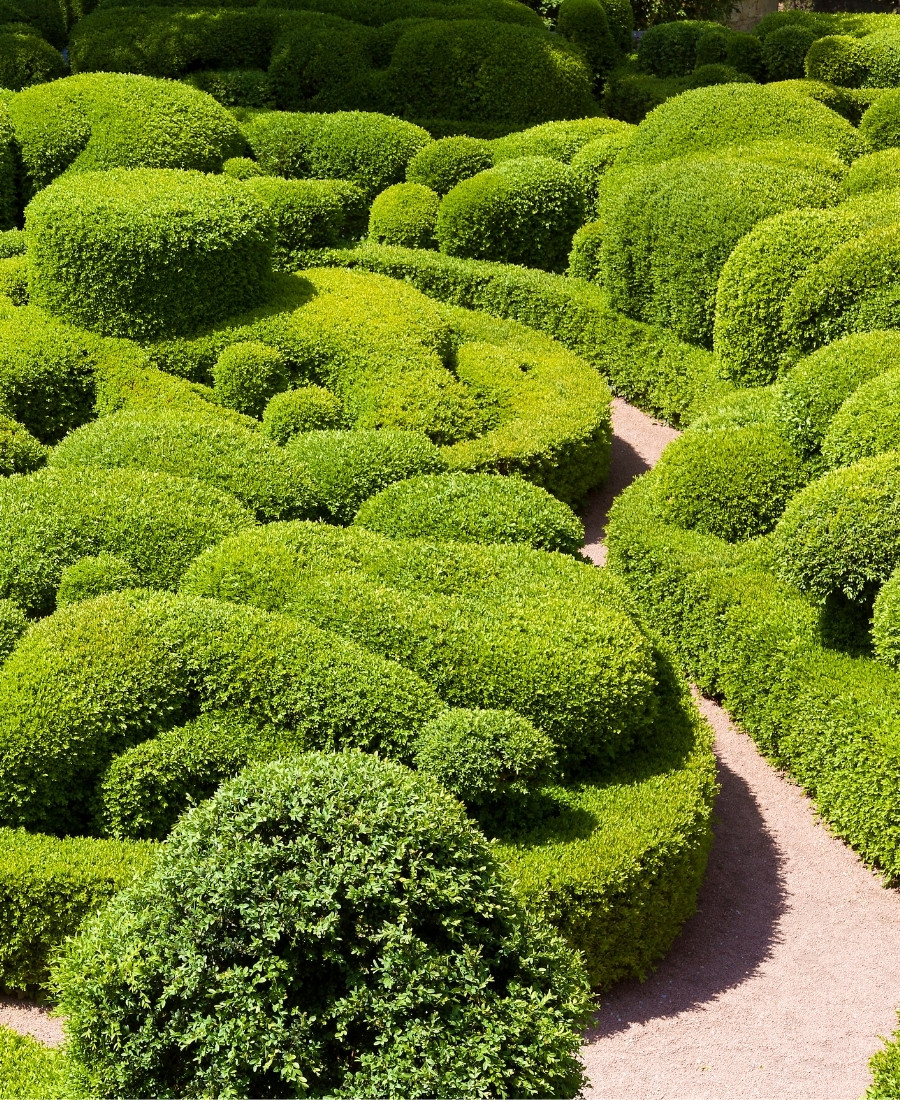 jardins
