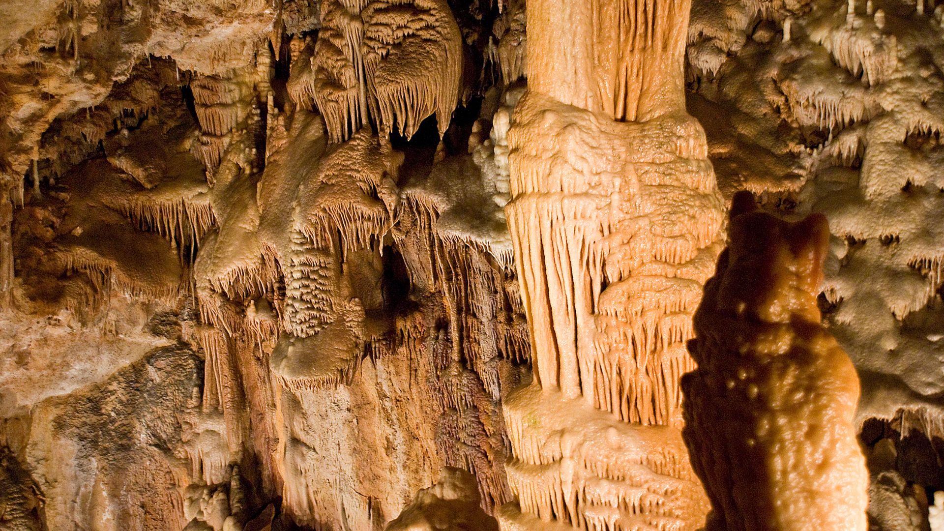 Visiter les grottes du grand roc